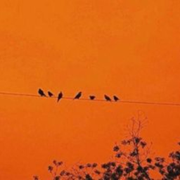 🧡