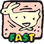 fast rabbit clothing