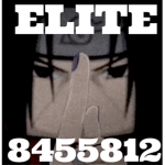 彡 Elite