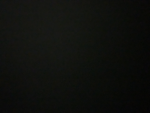 moonlight@night