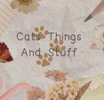 cat things & stuff