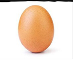 EGG Army!!!!!!!!!!!!!!!!!
