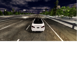 racing sim