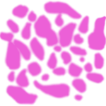 Two Versions
