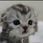 Тут только красивые<3