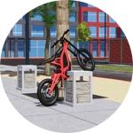 Surronster's Bike