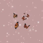 .angelicvibez.