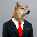 OpTiC DOGE