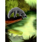 || Freshwater - Clan ||