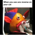 Youtubers only join