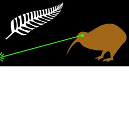 Laser Kiwi Training