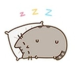 Cupcakes Pusheen Cats
