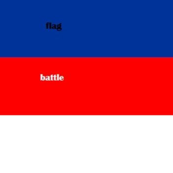 Flag battle 21