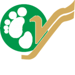 Yeti Airlines