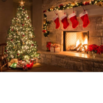 Christmas group elf on the shelf