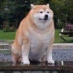 I give bobux to poor people :)