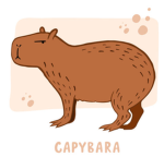 grupa capibar