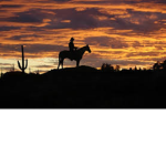 The West [TW]