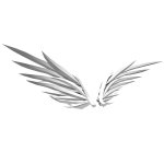 White Interstellar Wings