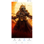 Shadows knight