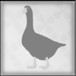 Shadow Goose Games