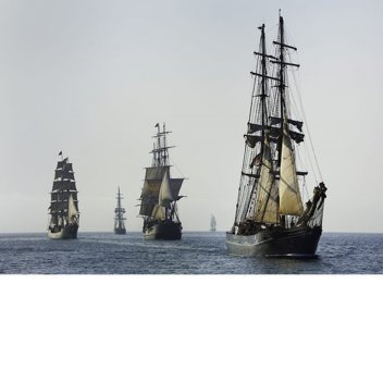 Pirate island 