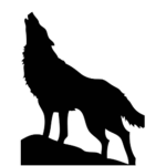 The strong wolfs