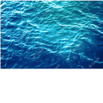 Swim Airways