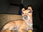 Captian