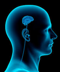 No Brainrs