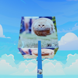 Jump into Spinning Cat