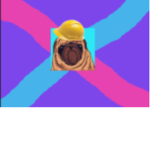 Fat Pug studios