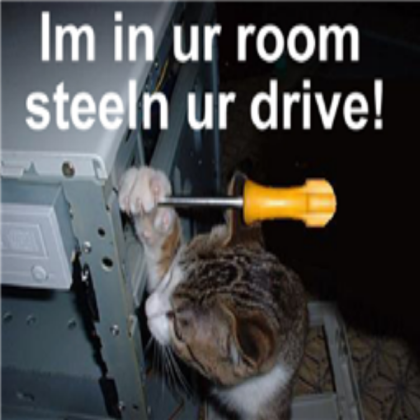 funny cat Roblox decal
