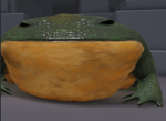 Froggerboi