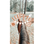 Lori’s Eq Apparel!