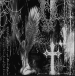 /cemetary''