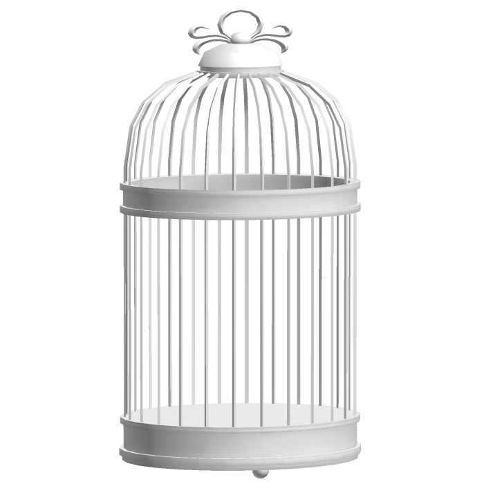 Big Bird Cage - Silver