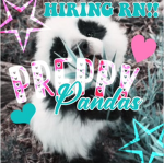 -•Preppy Pandas•-