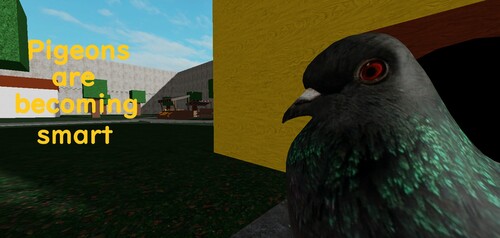 Pigeons are becoming smart!