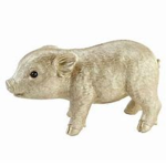 Golden Piggies
