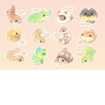 My little eeveelutions