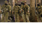 Swat / police / army