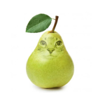 YrezK