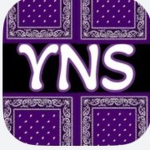 The_YNS