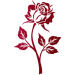 Roze Clothing