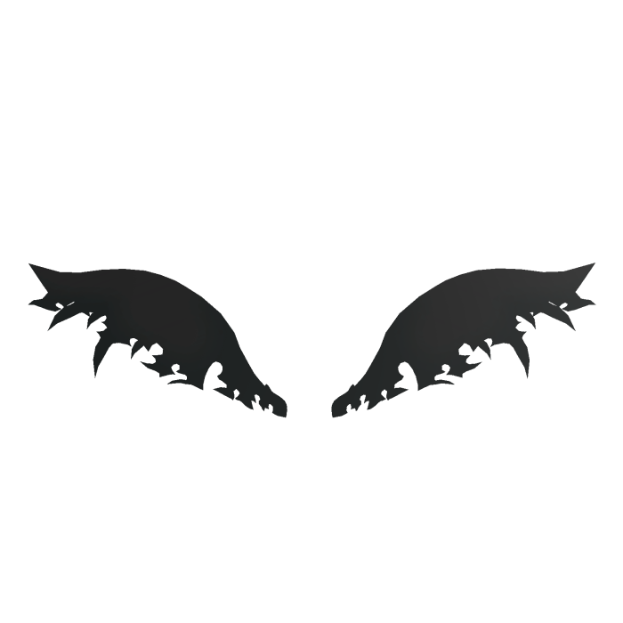 Black Winged Wings [ASTA WINGS]