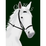 Oak Hills Stables