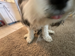 Welcome2Here