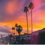 aestheticvibesss