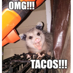 Join if you love possums